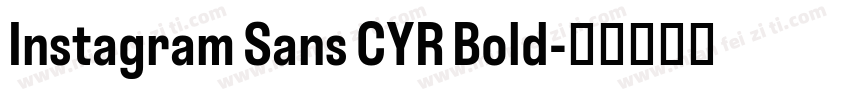 Instagram Sans CYR Bold字体转换